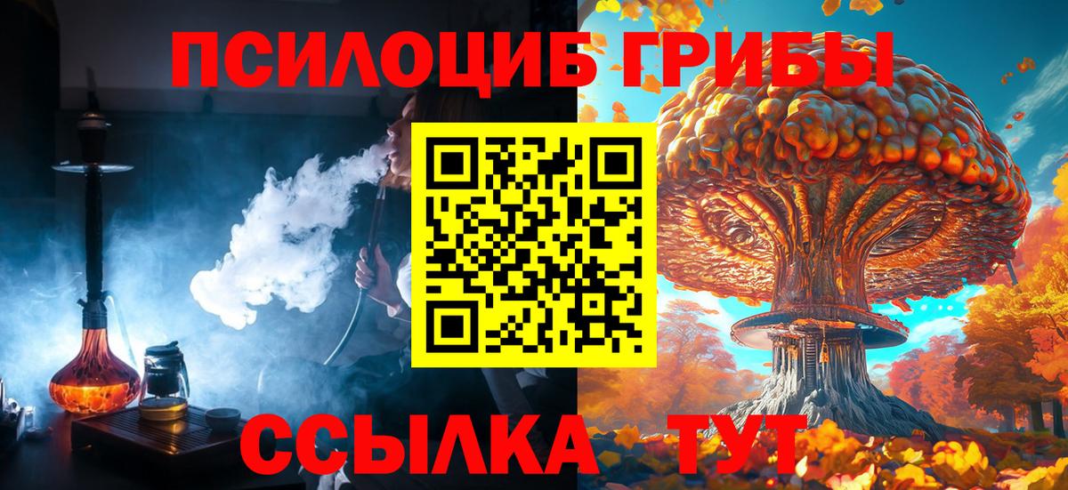 Галлюциногенные грибы Psilocybe  Вход с VPN  Протвино 